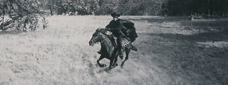 otros caballos del zorro